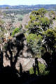 Hikers making their way though rocks & trees of Hanging Rock, scene of a well-known film. Australia.