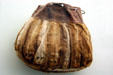 Dene dew claw bag at Royal Saskatchewan Museum. Regina, SK.