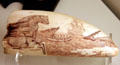 Scrimshaw engraving of whalers pursuing a whale with polar bear in foreground at International Maritime Museum. Hamburg, Germany.