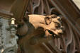 Gargoyle on Cathedral. Strasbourg, France.