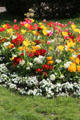 Flower bed at Cité Fleurie. Paris, France.