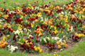 Flowers at Montmartre Cemetery. Paris, France.