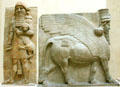 Babylonian full-size relief of hero with lion cub & winged bull with man's head from citadel of Dur-Sharukkin at the Louvre Museum. Paris, France.