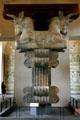 Capital in form of two bulls for supporting ceiling beams of Persian palace of Darius I at Suse at the Louvre Museum. Paris, France.