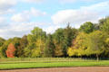 Forested grounds at Cheverny Chateau. Cheverny, France.