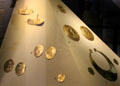 Gold earrings, disks & lunula from several Irish sites at National Museum of Ireland Archaeology. Dublin, Ireland.