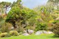 Shrubbery & trees at Muckross House in Killarney National Park. Killarney, Ireland.