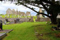 View of Clonmacnoise from ancient path which crosses Ireland.