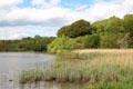Landscape at Irish National Heritage Park. Ireland.
