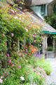 Flowering plants at Swiss Cottage. Cahir, Ireland.