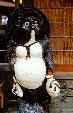 Bear used to advertise alcoholic spirits in Nara. Japan.