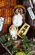 Bear statues in Takayama. Japan.