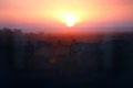Sunrise over Amboseli National Park. Kenya.