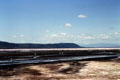 Flamingos wading impart pink color to Lake Nakuru National Park. Kenya