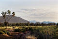 Landscape of Samburu National Reserve where species differ from those found on plains of Southern Kenya.