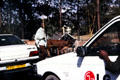 Driving cattle through streets of Nairobi. Kenya.