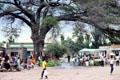 Kenyan country village. Kenya.