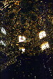 Gold leaf dome interior of Rosary Chapel in church of Santo Domingo, Puebla. Mexico.