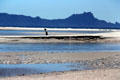 Surf entering the estuary of Waipu River. New Zealand.