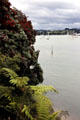 Russell harbor. New Zealand.