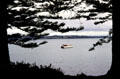 Peering through trees at boat off Russell. New Zealand.