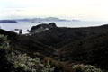 Islands off Russell. New Zealand.