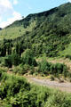 Whanganui River road. New Zealand.