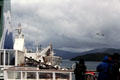 On board the ferry to South Island. New Zealand