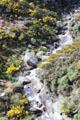 View of gorge from Taieri Gorge Rail Road. New Zealand.