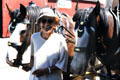 Visitor with horses at Ferrymead Heritage Park, Christchurch. New Zealand.
