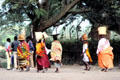 Women carrying groceries on their heads in Arusha. Tanzania
