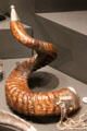 Horn snuff mull at National War Museum of Scotland. Edinburgh, Scotland.