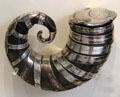 Snuff mull of ram's horn with silver bands & cover from Tailors of Canongate trade group at National Museum of Scotland. Edinburgh, Scotland