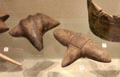 Carved stone objects from Quoyness & Skara Brae at National Museum of Scotland. Edinburgh, Scotland.