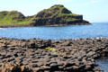 Volcanic blocks form road-like surface which lead to name of Giant's Causeway. Northern Ireland.