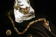 Gold nugget & jewelry at Gold Rush History Center. Sacramento, CA.