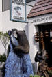 Carving of a bear in shop. Monterey, CA.