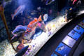 Tanks & signage of Aquarium of the Pacific. Long Beach, CA.
