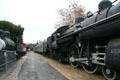 Southern Pacific steam locomotive #3025 by American Locomotive Co. & other rolling stock at Travel Town Museum. Los Angeles, CA.