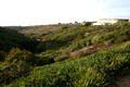 View of Pacific Ocean from Salk Institute. La Jolla, CA.