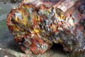 Petrified wood at San Bernardino County Museum. Redlands, CA.