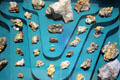 Tuolumne County Gold nugget collection at Tuolumne County Museum. Sonora, CA.