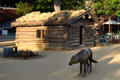 Jack London's Cabin brought from the Yukon & recreated in part in 1970 at Jack London Square. Oakland, CA