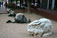Frog, beaver & rabbit sculptures in children's play area on Pearl Street Mall. Boulder, CO.