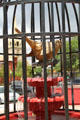 Coal Miner's Canary monument by Susan Norris on Main St. Trinidad, CO.