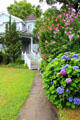 Flowered path leading to Eugene O'Neill's Monte Cristo Cottage. New London, CT.