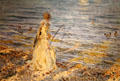 Girl Fishing at San Vigilio painting by John Singer Sargent at Corcoran Gallery of Art. Washington, DC.