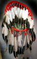Buffalo-hide shield at National Museum of the American Indian. Washington, DC.
