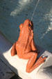 Spitting frog on fountain in courtyard of Ponce de Leon Hotel. St Augustine, FL.