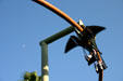 Pteranodon Flyers® ride at Universal's Islands of Adventure. Orlando, FL.